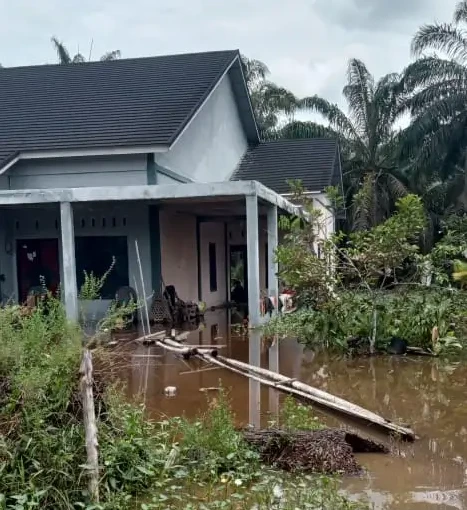 Perkembangan Situasi dan Penanganan Bencana 1 Mei 2025
